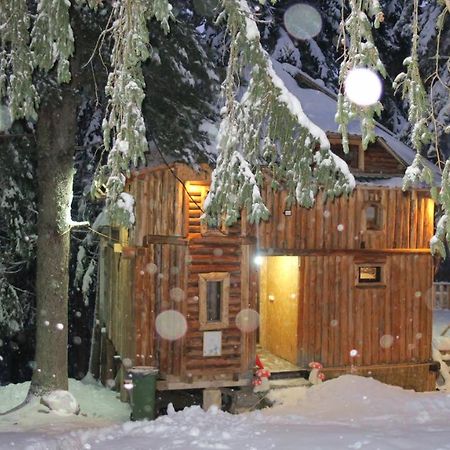 Pinetrees Lodge Plav Kültér fotó