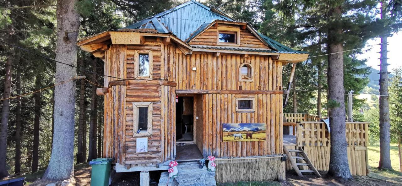 Pinetrees Lodge Plav Kültér fotó
