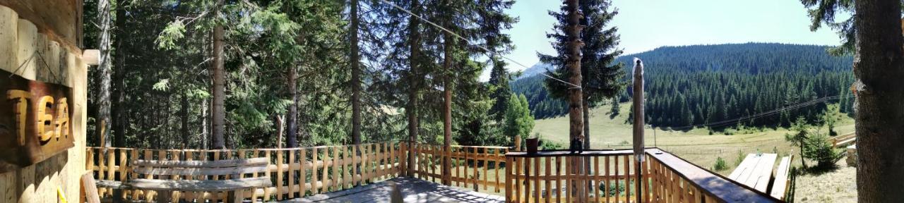 Pinetrees Lodge Plav Kültér fotó