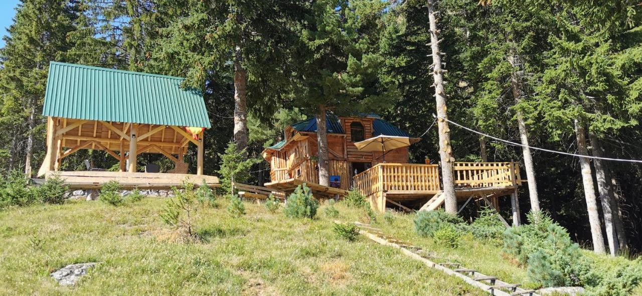 Pinetrees Lodge Plav Kültér fotó
