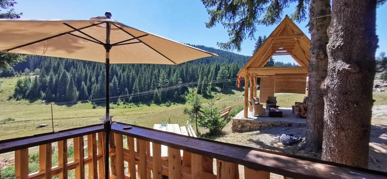 Pinetrees Lodge Plav Kültér fotó