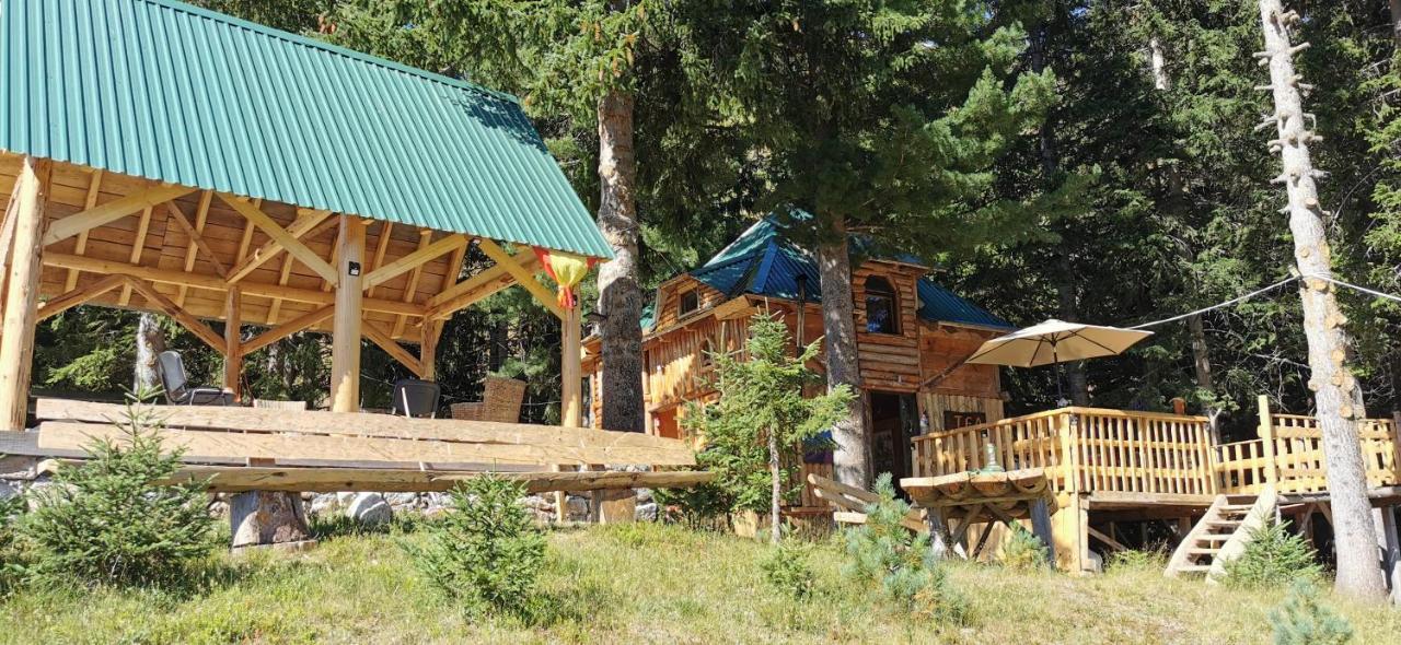 Pinetrees Lodge Plav Kültér fotó