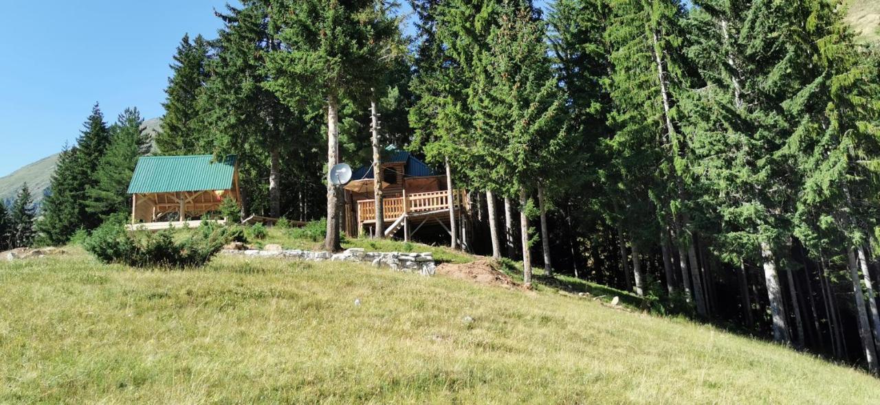 Pinetrees Lodge Plav Kültér fotó