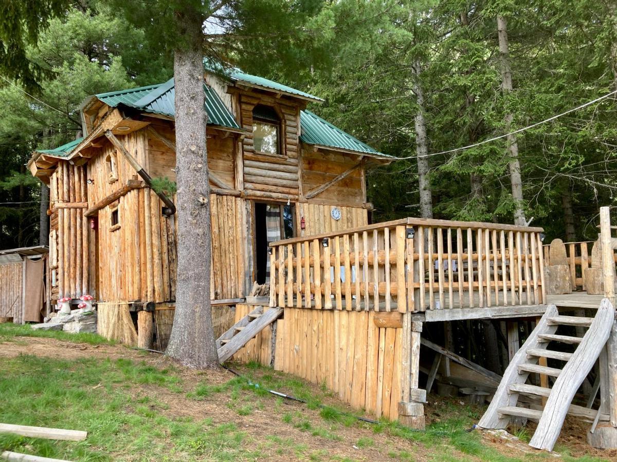 Pinetrees Lodge Plav Kültér fotó