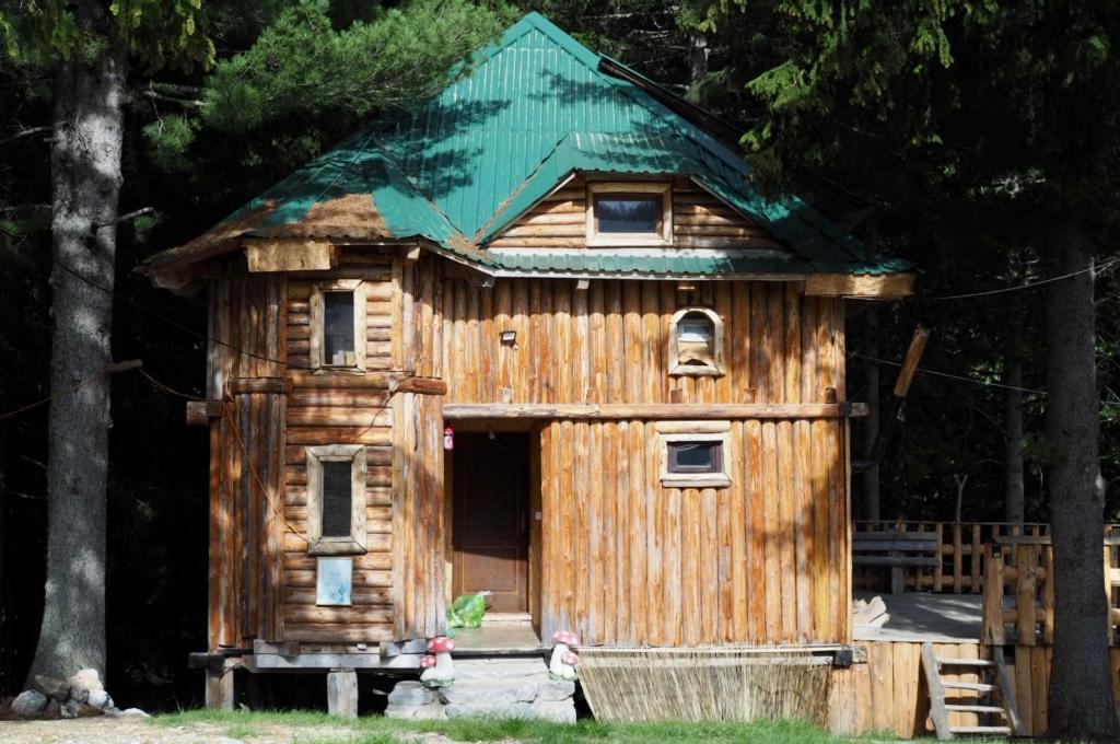 Pinetrees Lodge Plav Kültér fotó