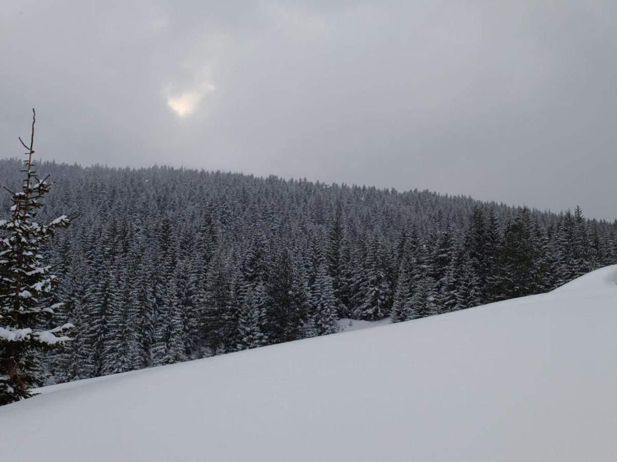 Pinetrees Lodge Plav Kültér fotó