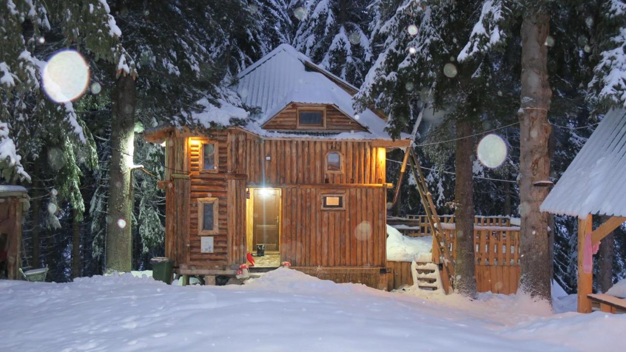 Pinetrees Lodge Plav Kültér fotó
