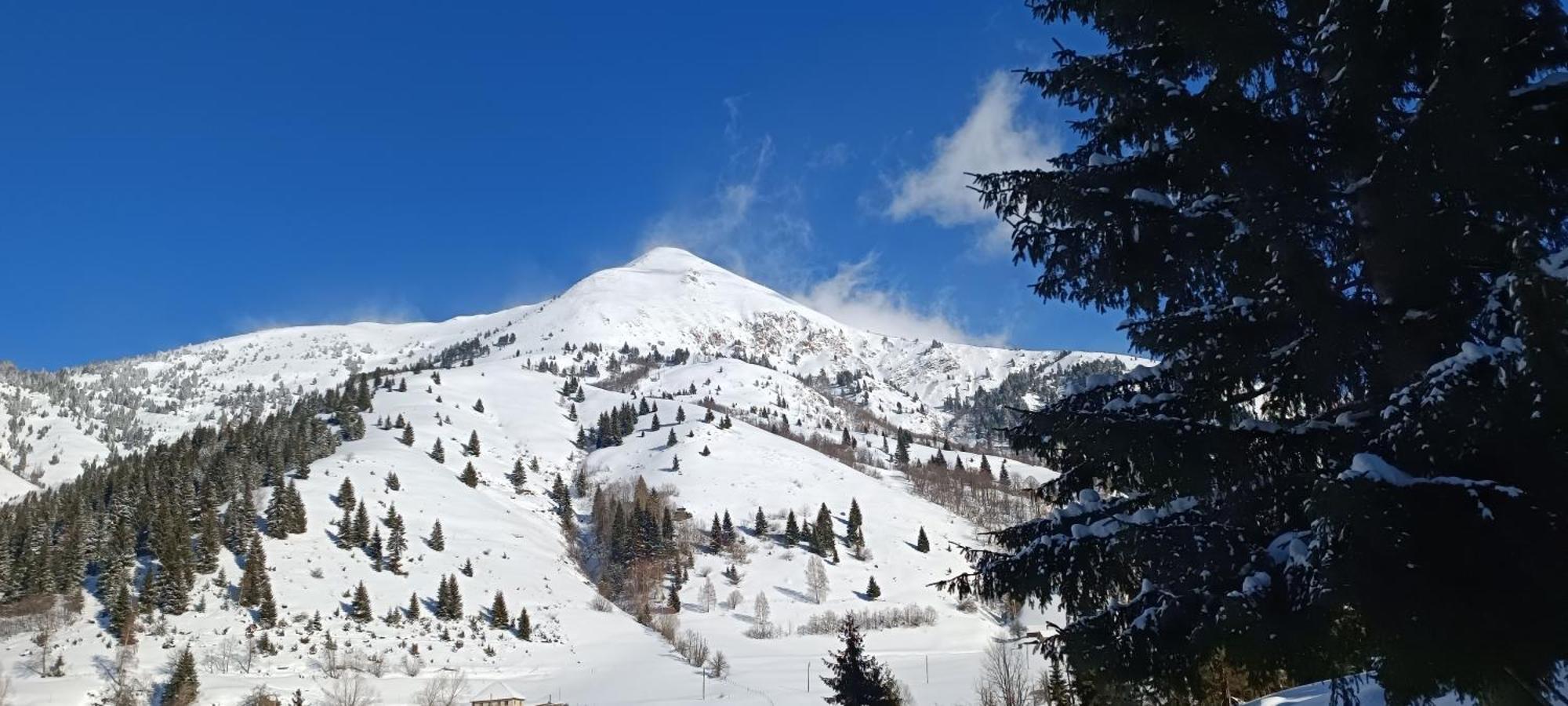 Pinetrees Lodge Plav Kültér fotó