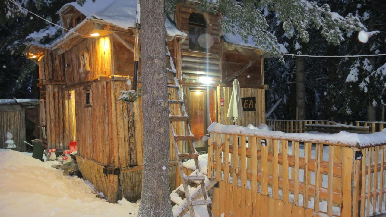 Pinetrees Lodge Plav Kültér fotó