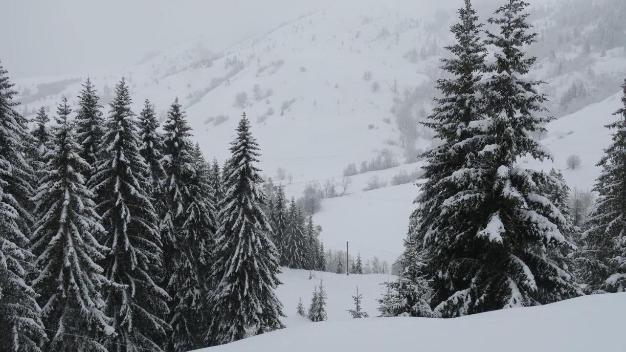 Pinetrees Lodge Plav Kültér fotó