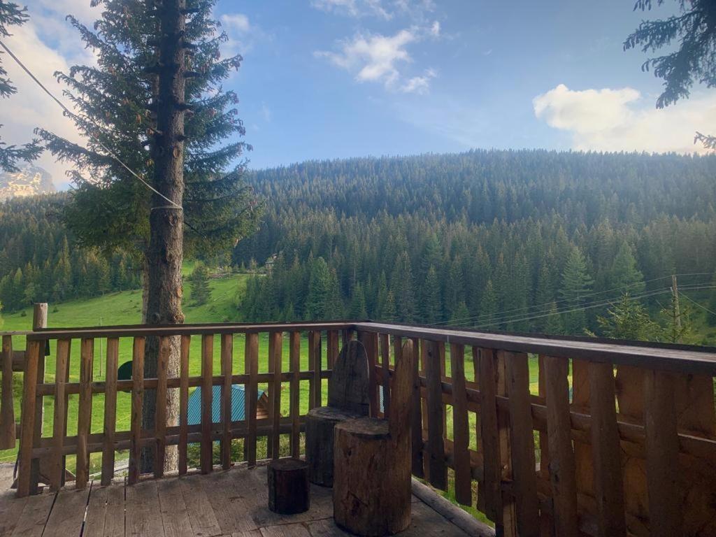 Pinetrees Lodge Plav Kültér fotó