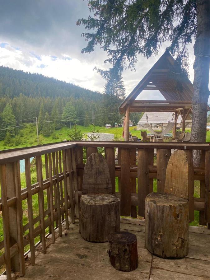 Pinetrees Lodge Plav Kültér fotó