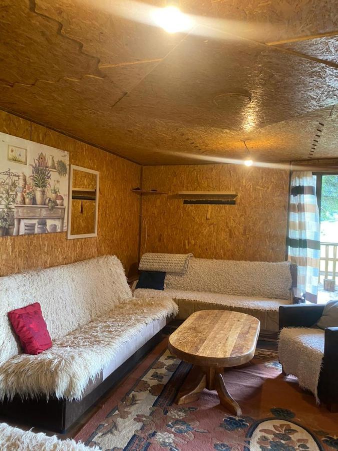 Pinetrees Lodge Plav Kültér fotó