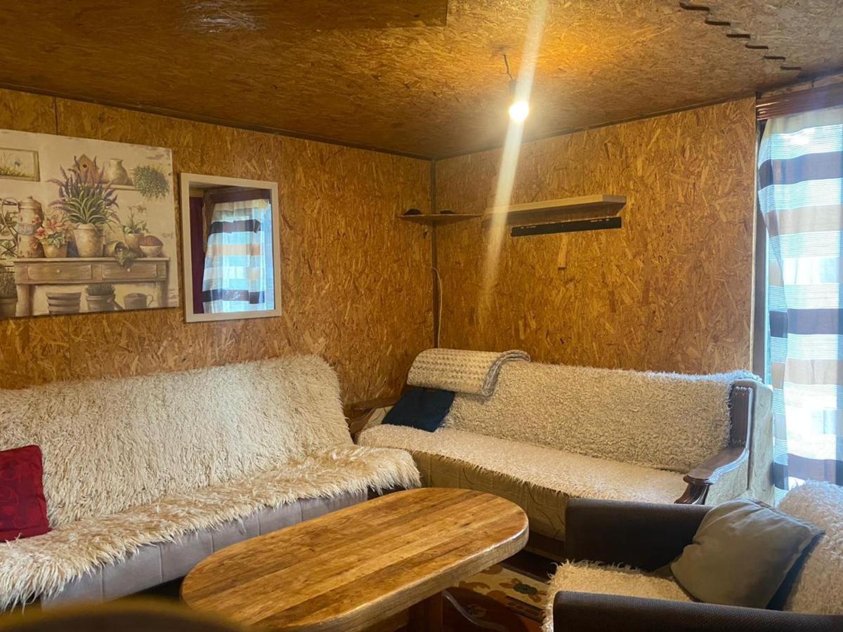 Pinetrees Lodge Plav Kültér fotó