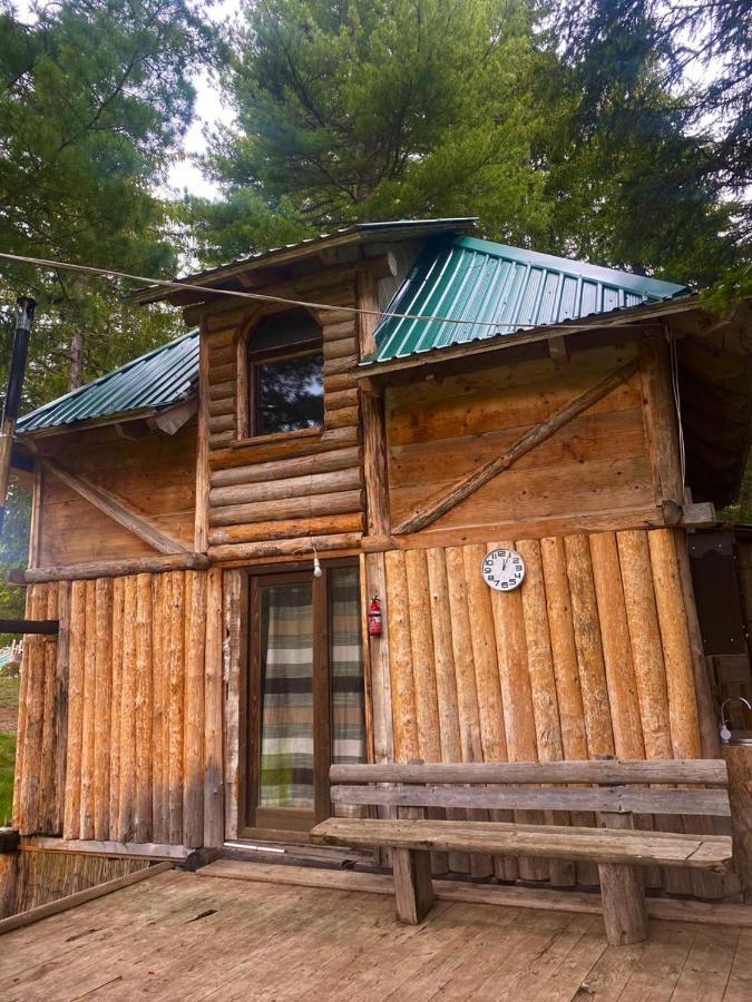 Pinetrees Lodge Plav Kültér fotó