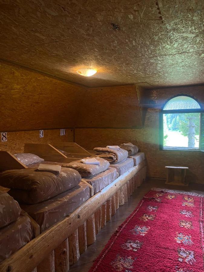 Pinetrees Lodge Plav Kültér fotó