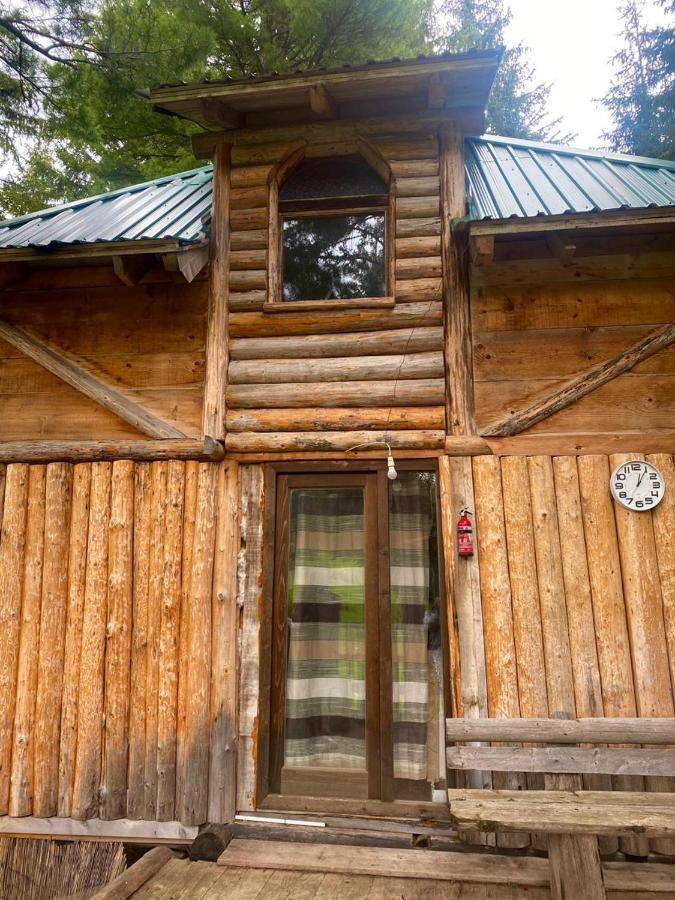 Pinetrees Lodge Plav Kültér fotó