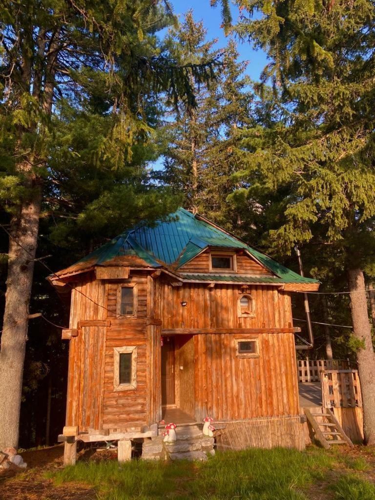 Pinetrees Lodge Plav Kültér fotó